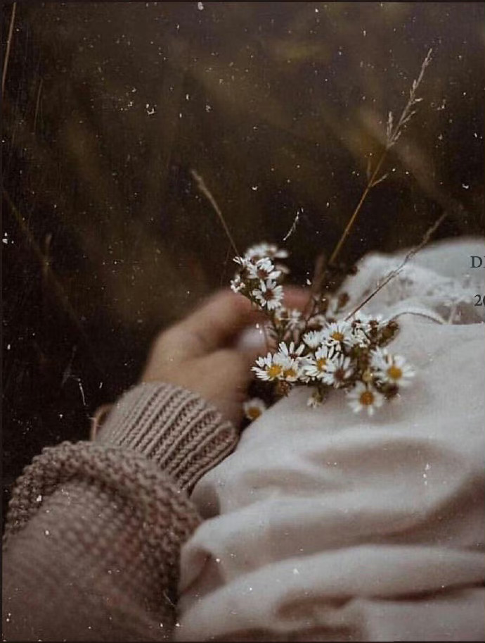 有一颗大心，才乘得下喜怒，输得出力量。——毕淑敏 ​​​