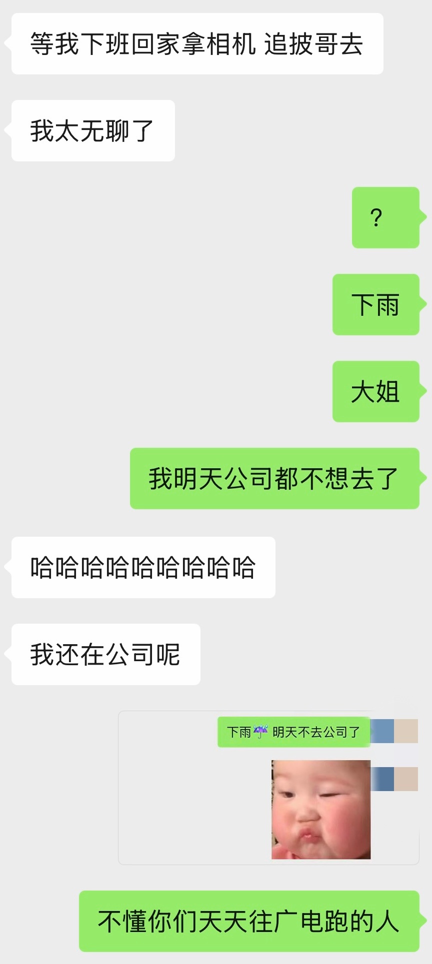 今年披哥到底有谁在 