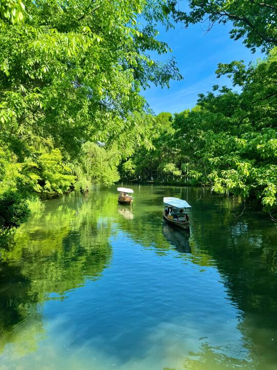 🌳西湖秘境 | 赵公堤绝美游玩路线来啦✨