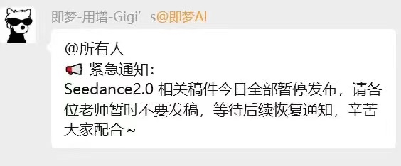 seedance2.0 原定的公关宣传已暂停 做的实在太好太逼真了不过，现在也会