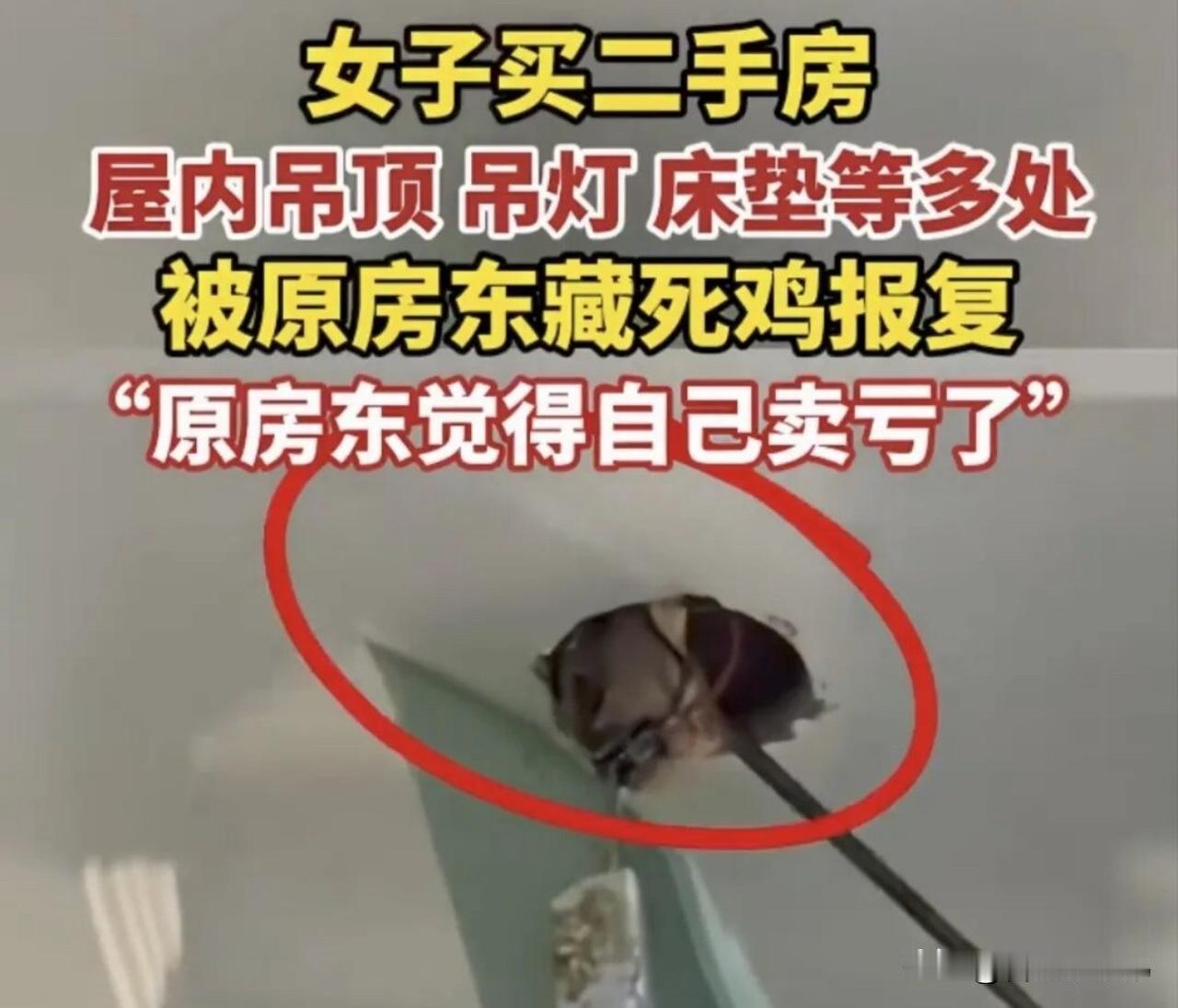 可收房后屋内恶臭刺鼻，天花板灯具、床底多处藏有动物腐烂尸体，明显是原房东因卖房后