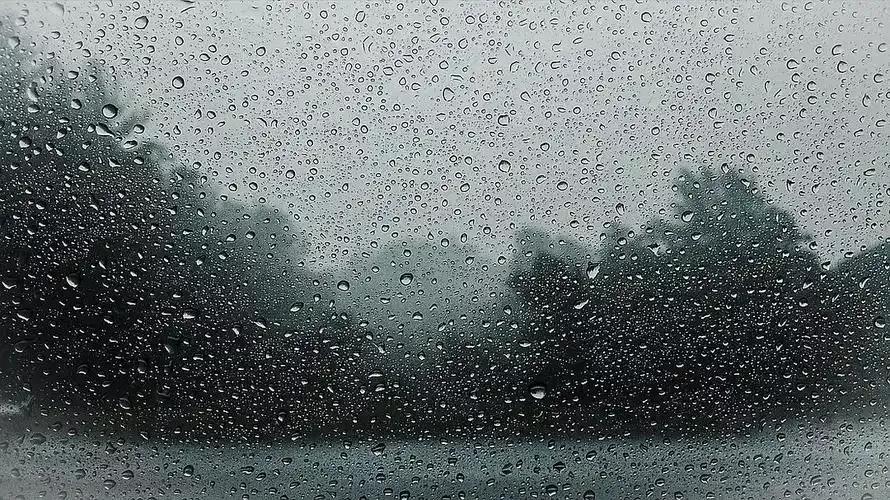 《一夜冬雨》
西域雪山悦:
一夜冬雨，淅淅沥沥，宛如一首寂静的乐章，在黑暗中悄然