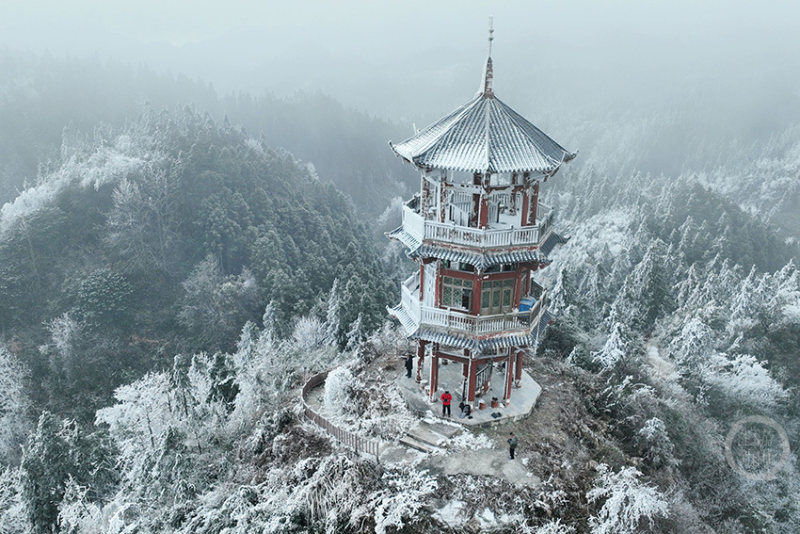 银装素裹 林场变身童话世界