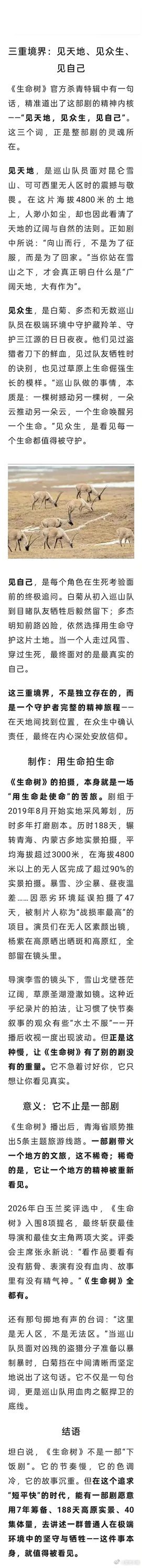 杨紫全方位爆发【好文推荐】已经有好多人因为杨紫《生命树》获奖去看生命树了，并写下