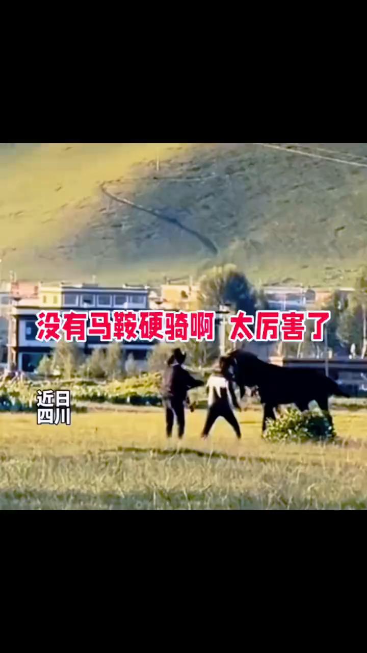 没有马鞍硬骑太厉害了。
近日，四川。这是男人中的男人。