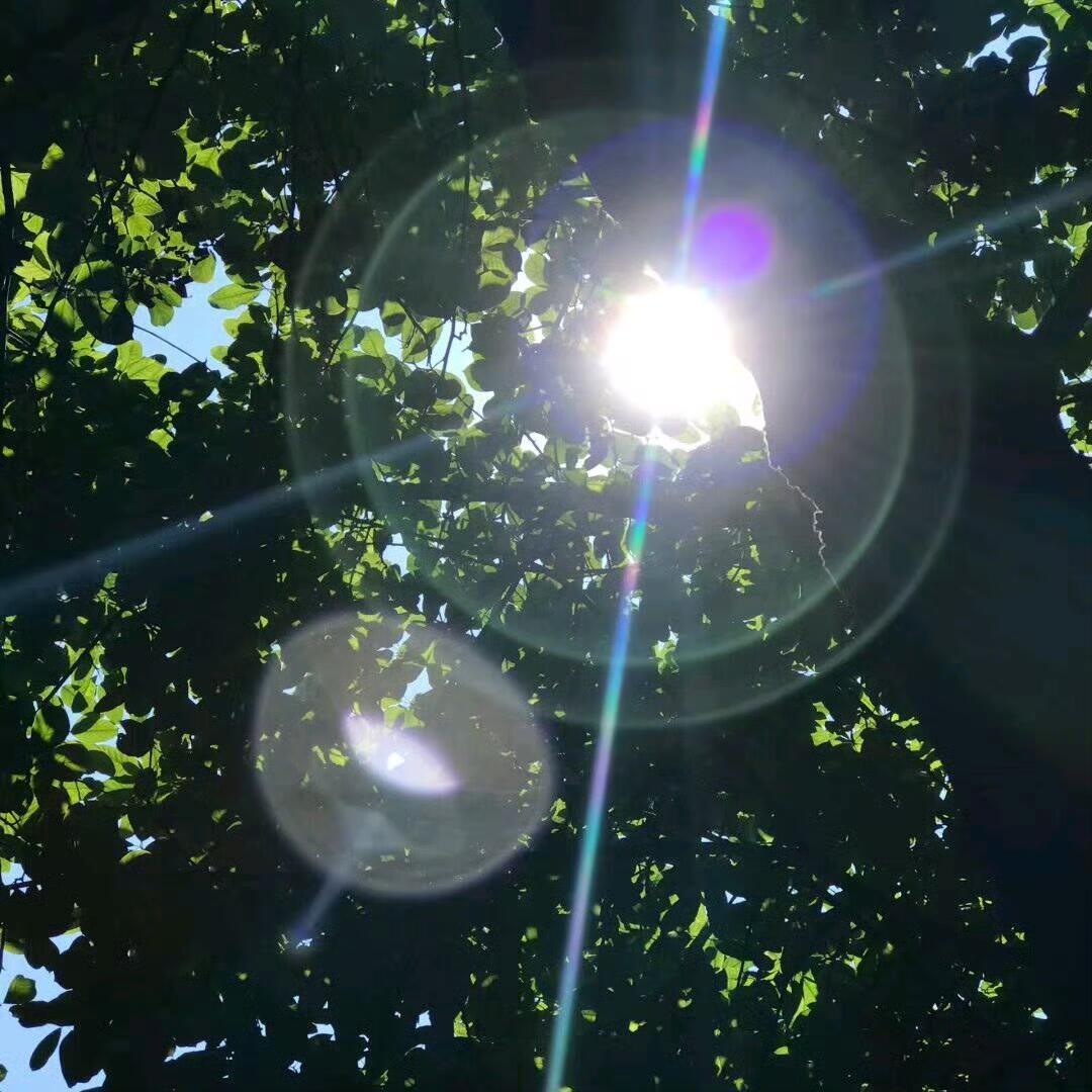 以热爱赴山海，以赤诚待岁月，以乐观迎风雨，以感恩藏欢喜，让生活处处皆有温柔与光亮