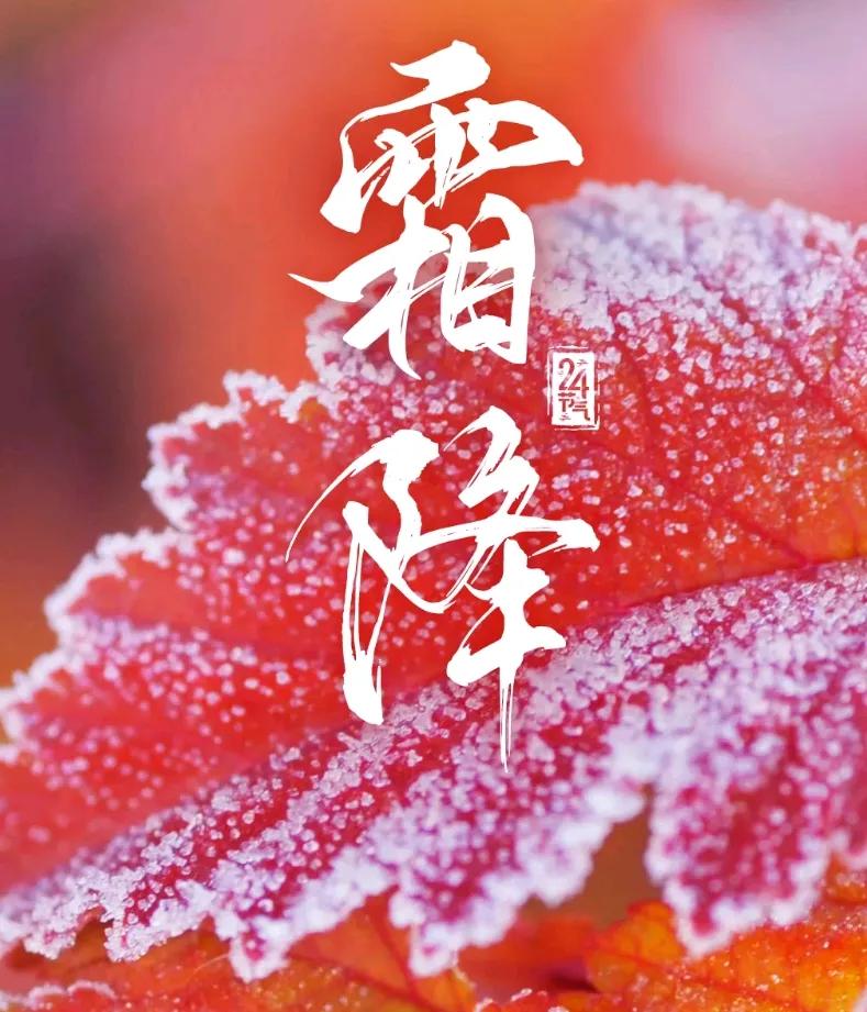 南甜北咸，东辣西酸。吃在广州穿在苏州。先不说穿，就说吃。感觉南方人吃的清淡，北方