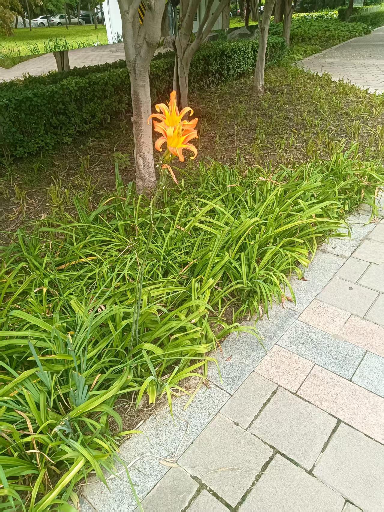 行走中的美丽，开启美好一天！！！