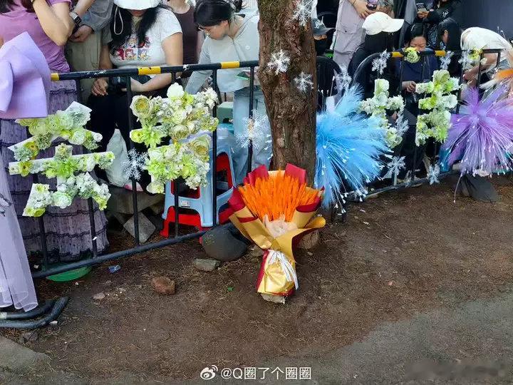 丁禹兮粉丝连夜布置杀青应援丁禹兮粉丝的爱好拿得出手！连夜给丁禹兮司宫令布置杀青应