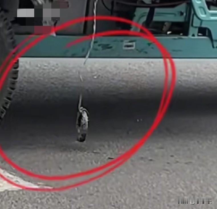 12月17日，安徽一大爷三轮车胎频繁被钉子扎，大爷想出了一个大招，在前胎和后胎前