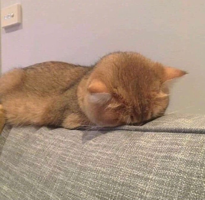 困困💤 