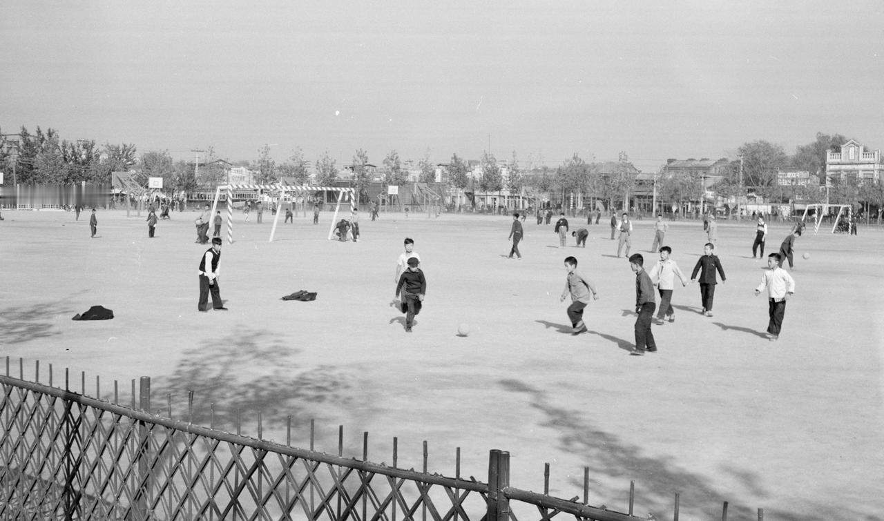那是1966年。
大约是1962年我从信阳市的小学转到了驻马店十小。
新学校最让