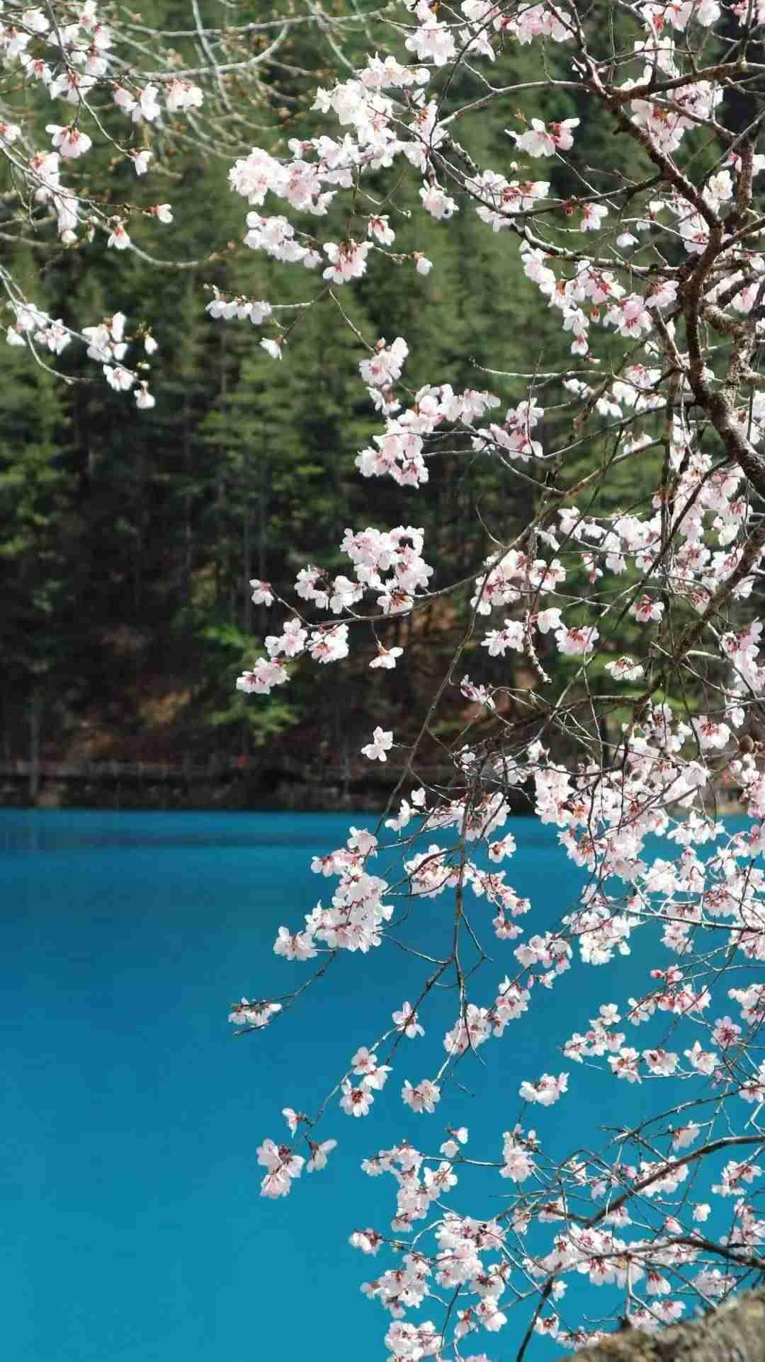 我的今日状态：😁轻松愉快
我这里的天气：☀️晴天