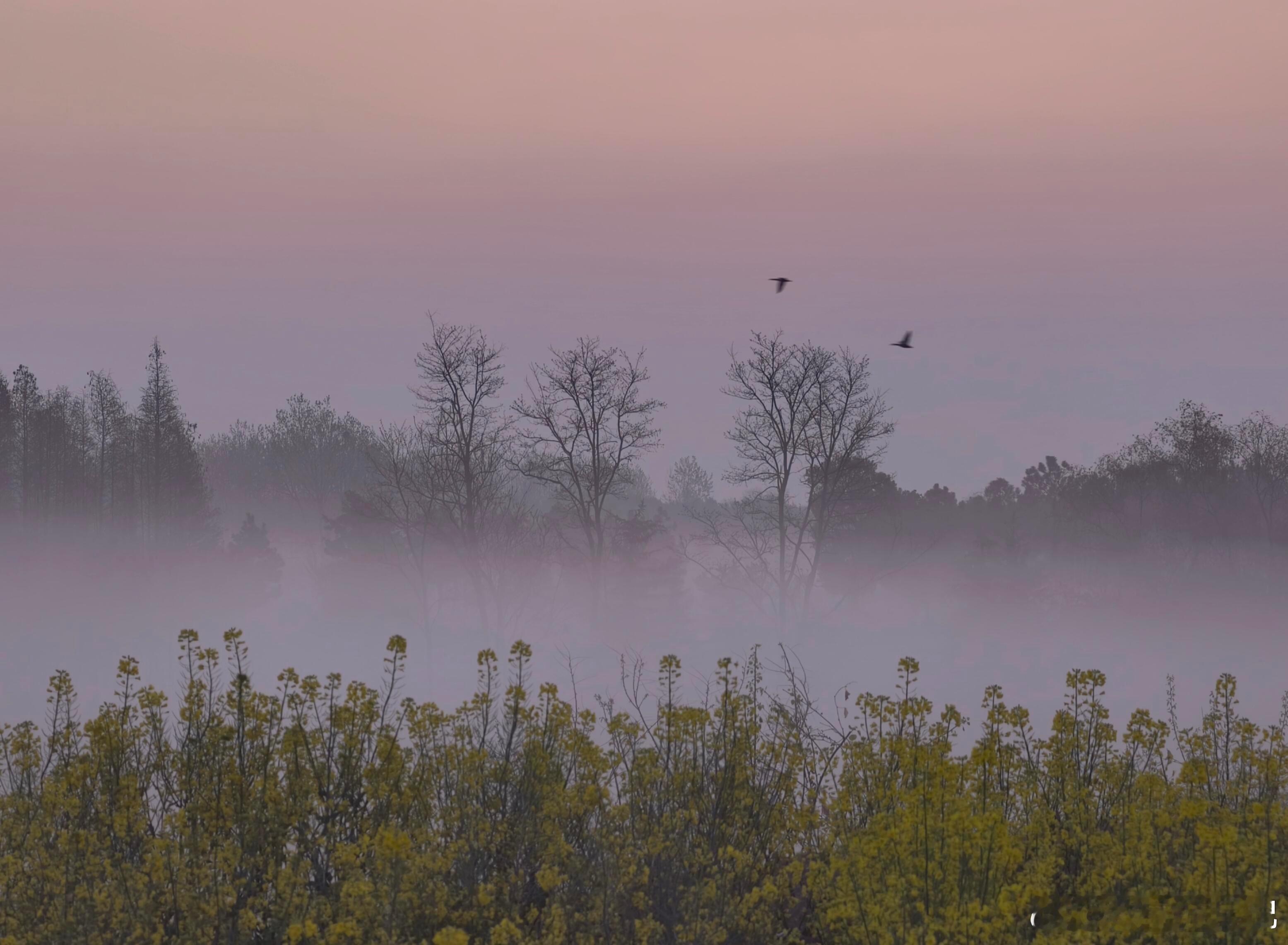 听大师说，摄影的终极奥义就是做减法，减少画面中的杂乱无章，让主体更加明显突出。摄