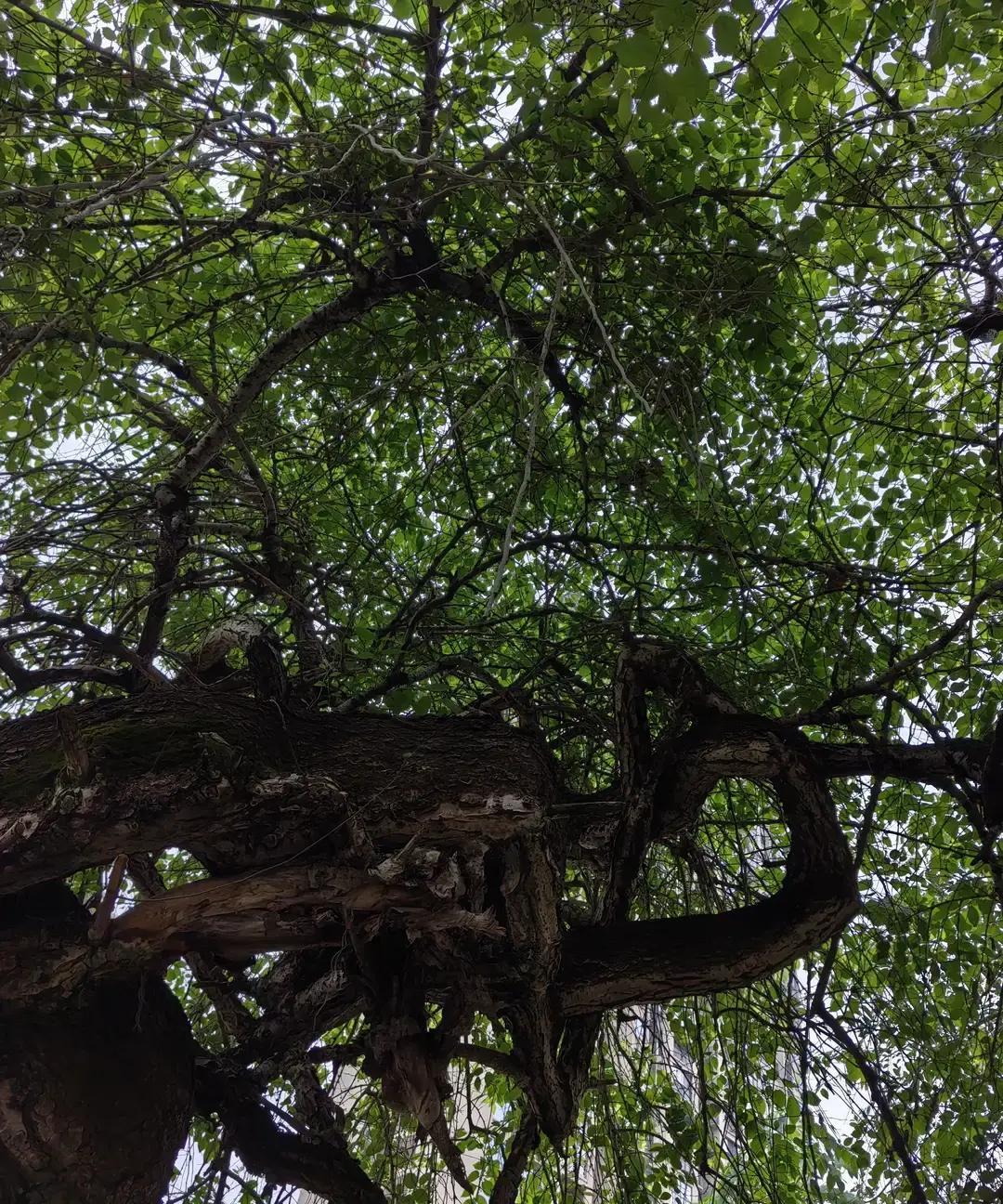 年近花甲仍外出打拼补家用 这份坚持戳中了无数奔波的中年人
年近花甲的大叔，找了一