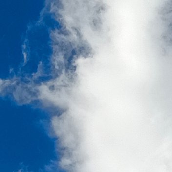 每日一善[超话][太阳] 阳光信用 🐼熊猫守护者 一起携手保护大自然与社会携手