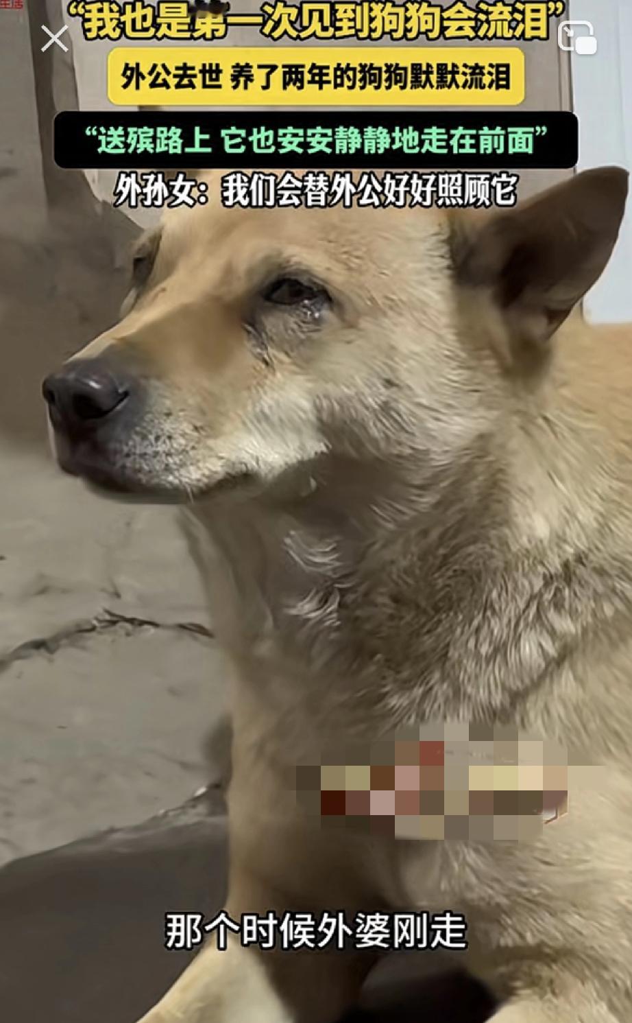 万物皆有灵。湖南，一女子发视频分享，她的外公去世当天，除了亲人守着外公外，外公养