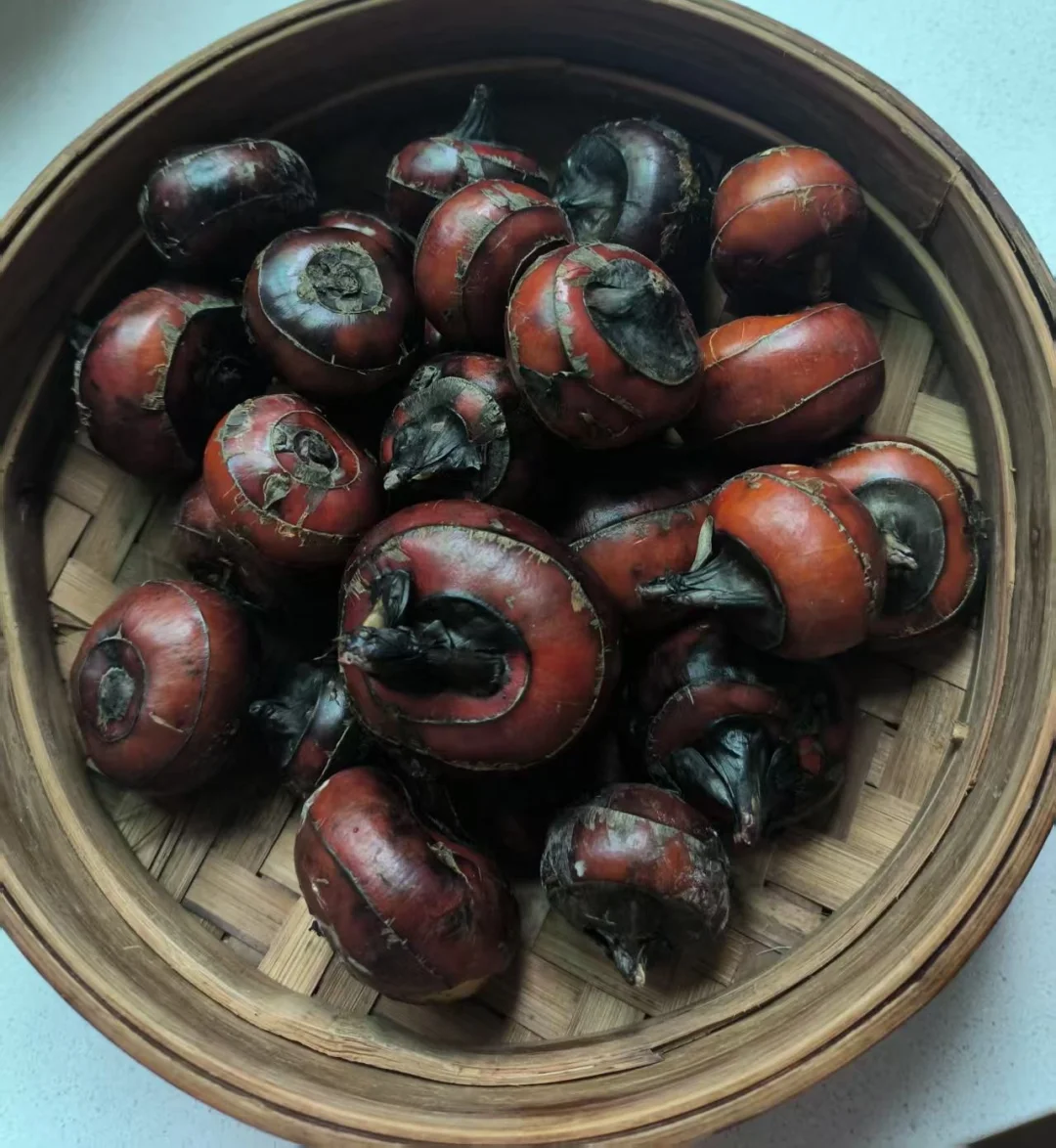 药食同源的好物—荸荠（马蹄）