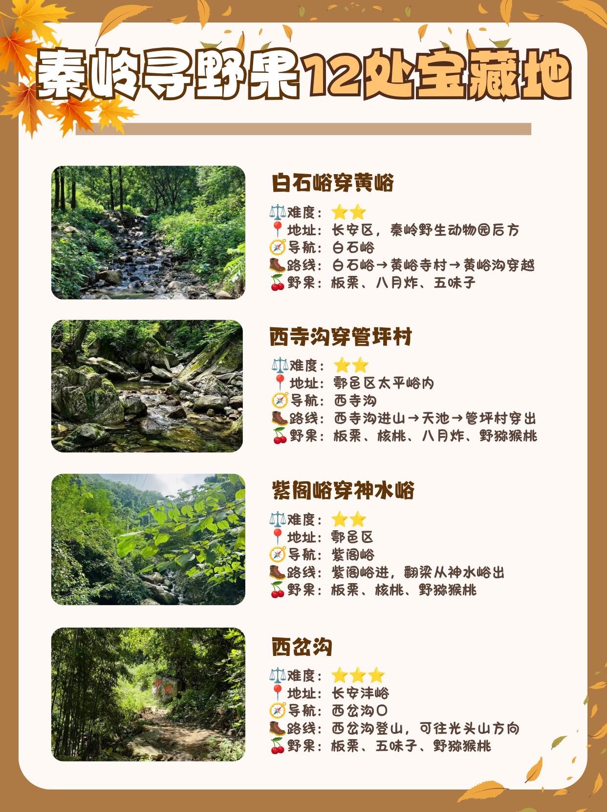 摘野果看这篇❗秋季限定秦岭12处点位。周末进山目标明确：专攻找野果⛰ ...