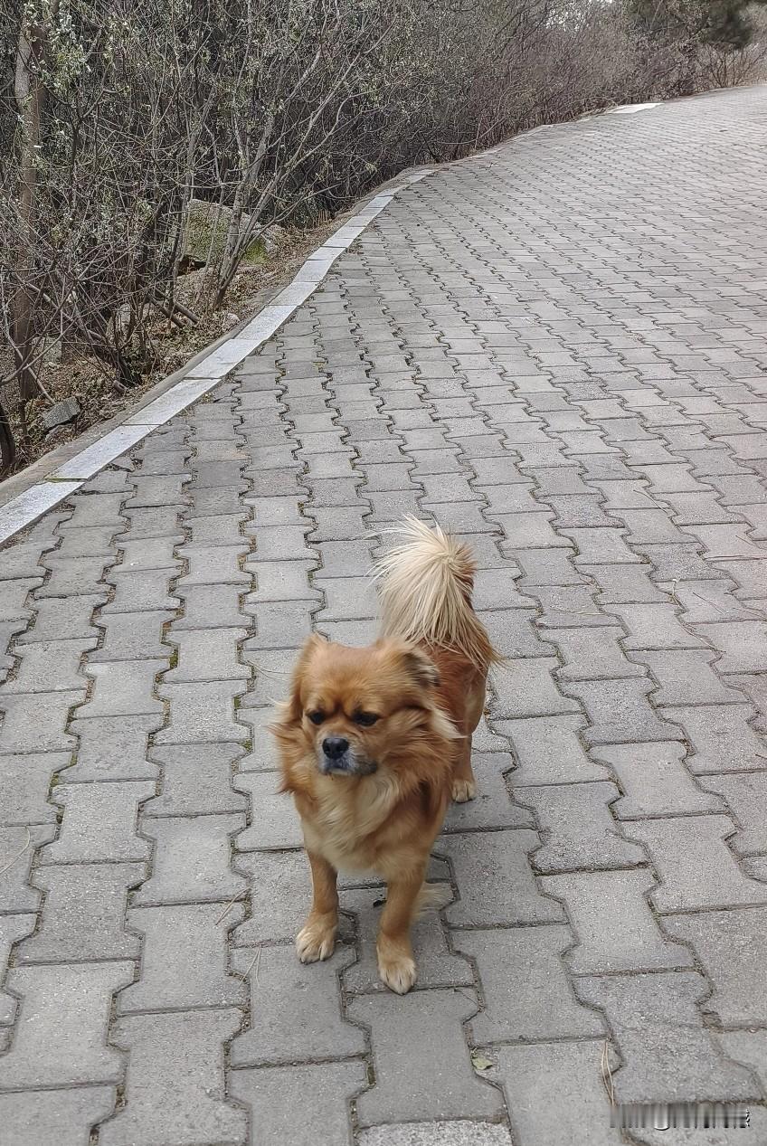 在新的一年里，最想多陪的人就是自己的家人，也包括自己家养的宠物，年龄越大越觉得，