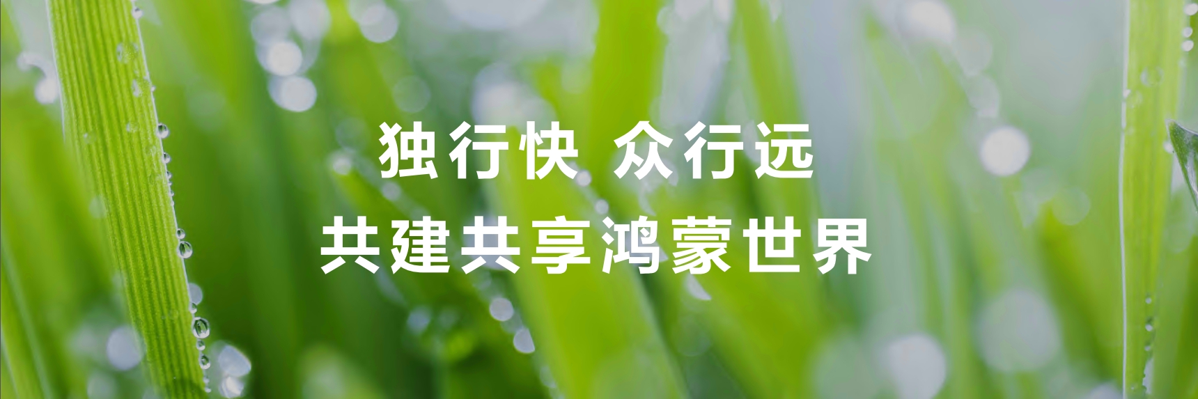 从鸿蒙初开到如今的Harmony Intelligence，鸿蒙正加速迈进智能时