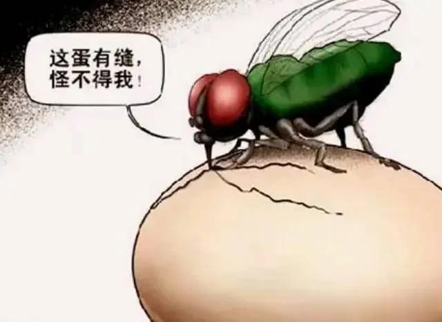 #缅甸电诈家族成员疾呼打开园区放人#
        随着缅甸电闸家族之一明家的