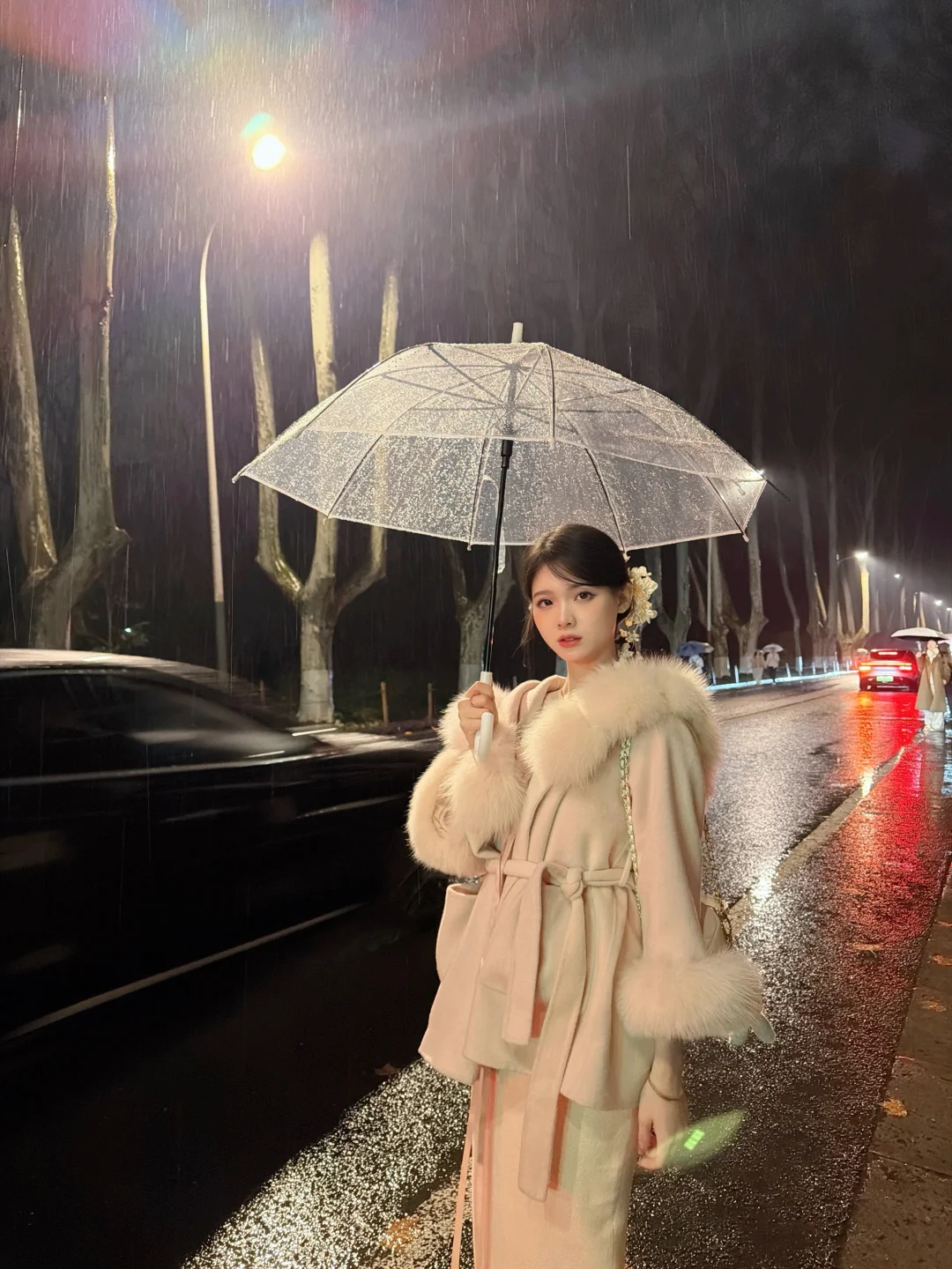 雨夜·南京·梧桐