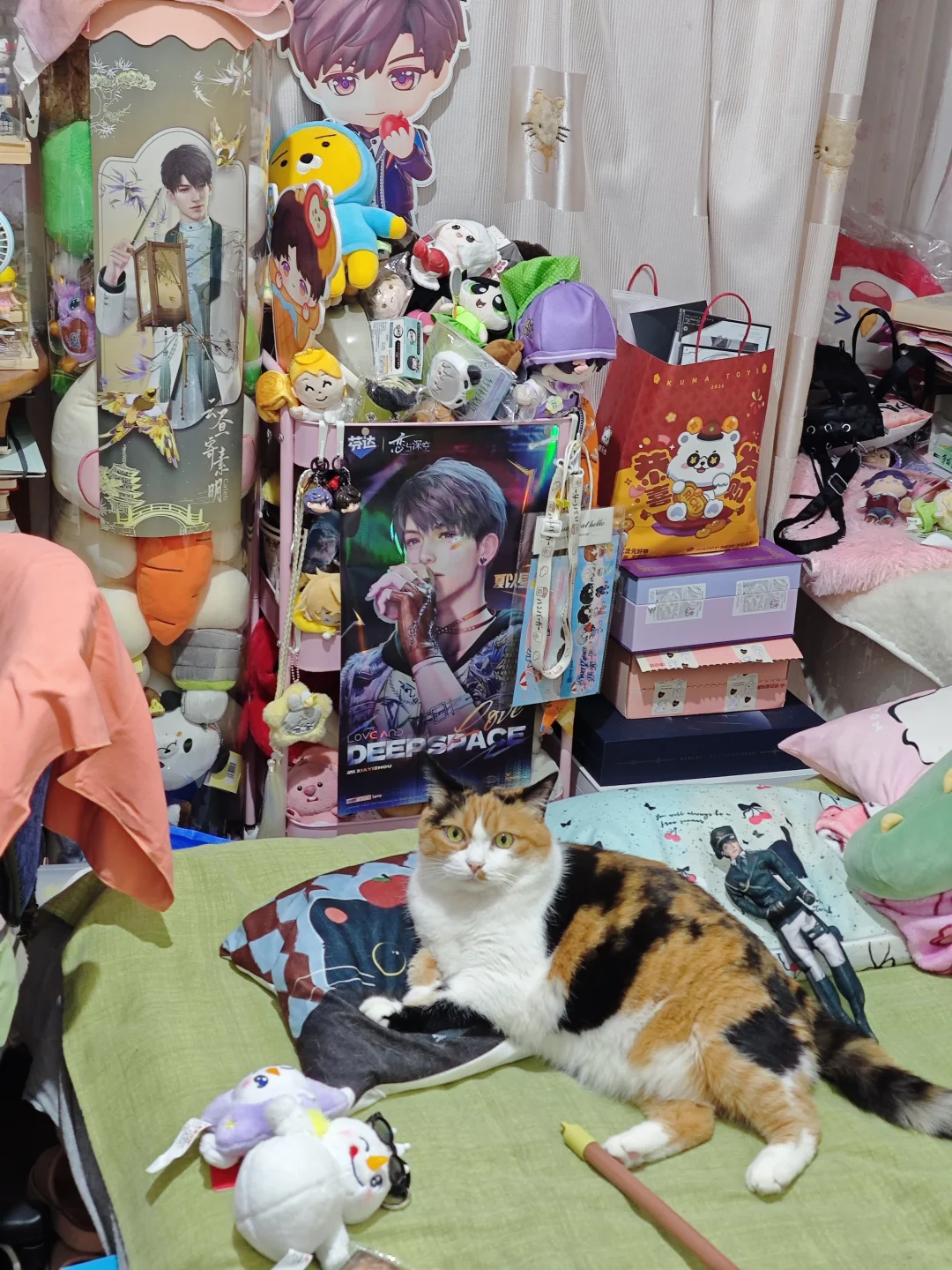 当我兼职回来看见猫已经躺好了