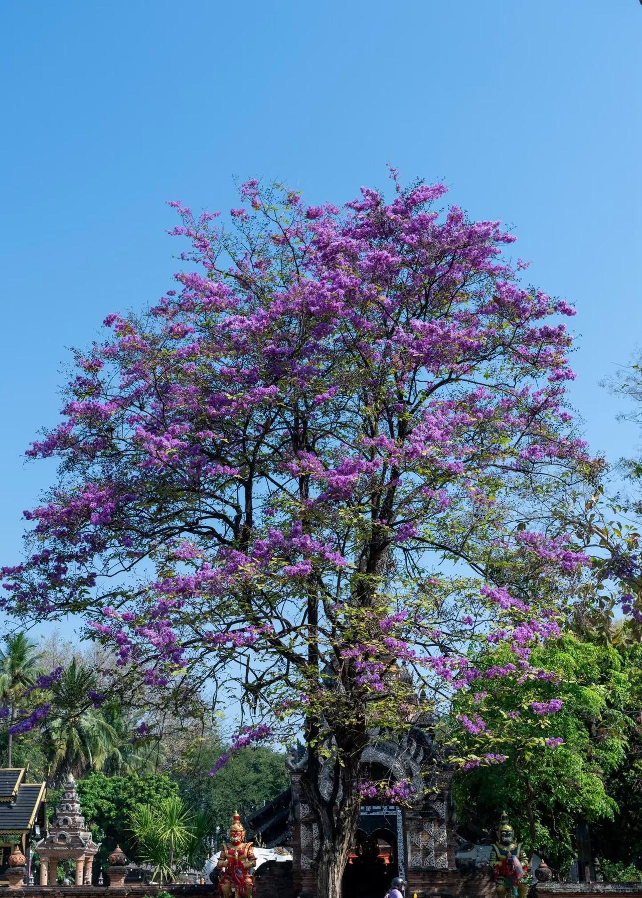 张雪峰留下的独木桥内卷破局精华：

1. 理工科看专业实力，文科看学校名气
2.