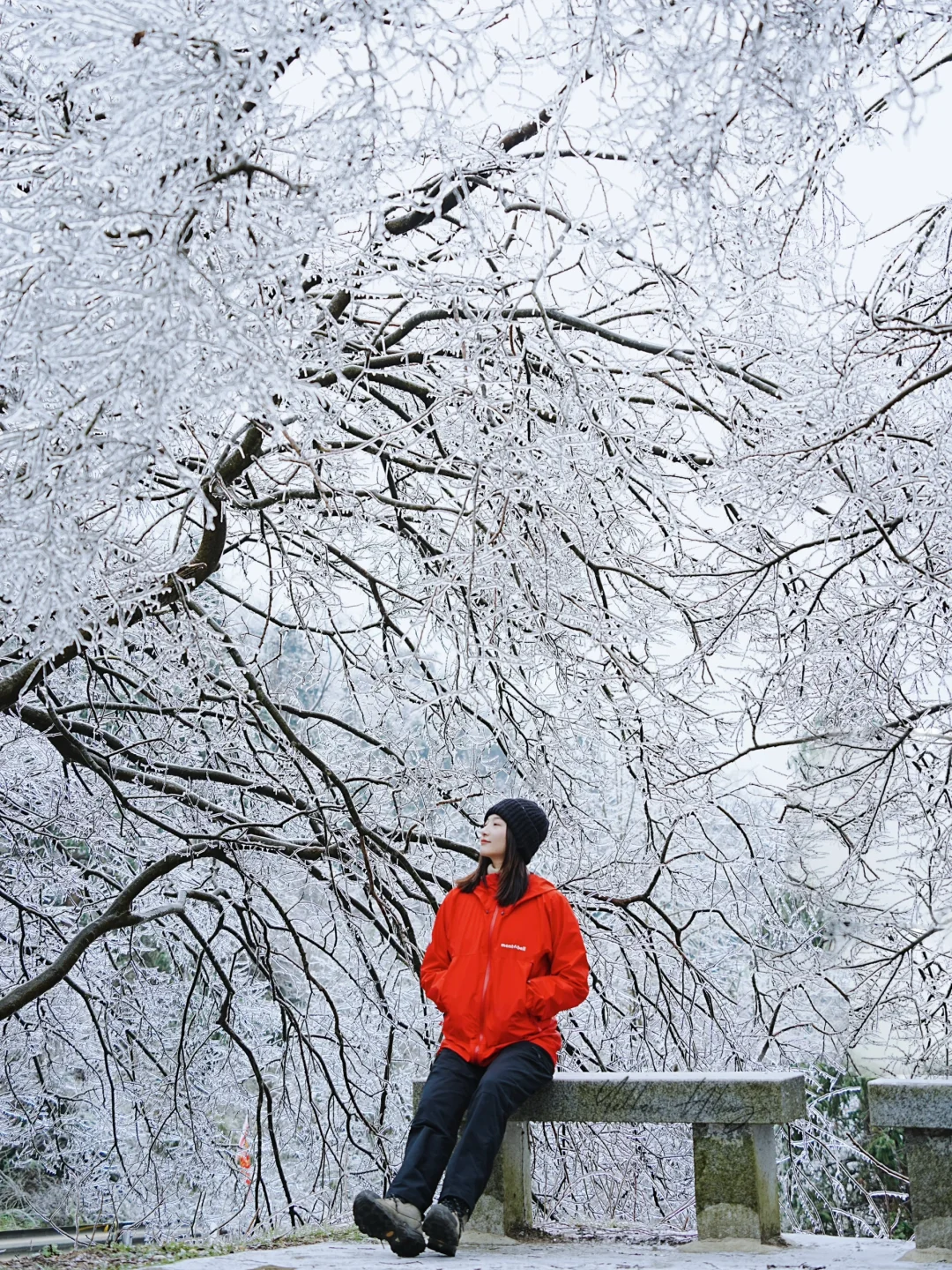 不用去四明山 懒人赏雪 开车直达