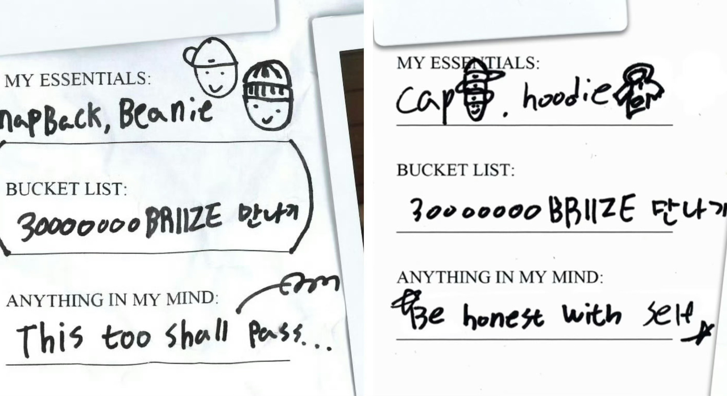 炤熙的愿望：与30000000名布栗子相遇 