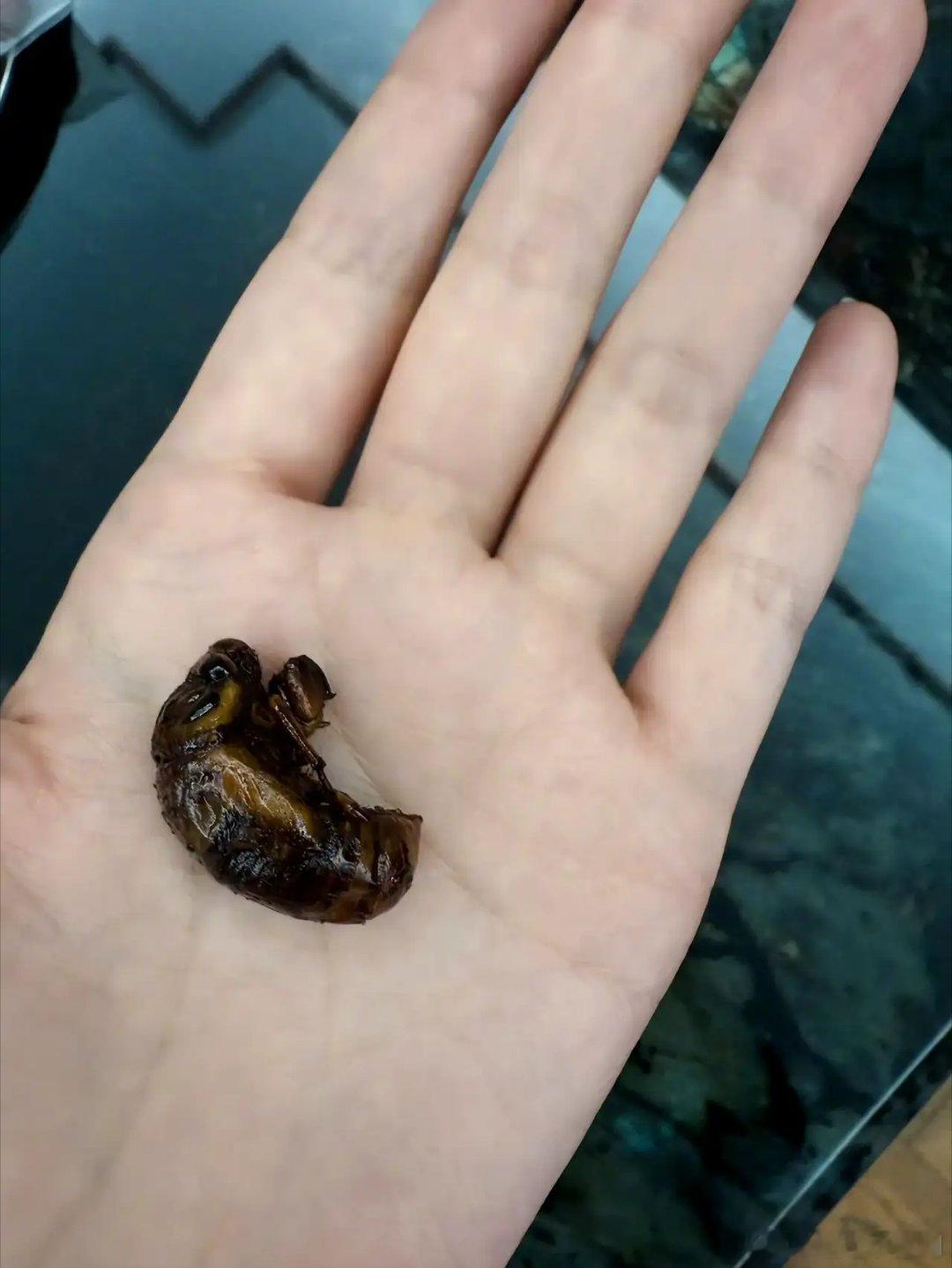 张馨予晚餐是只虫子张馨予说今天晚餐是一只虫子7月23日晚，张馨予在社交媒体发文，