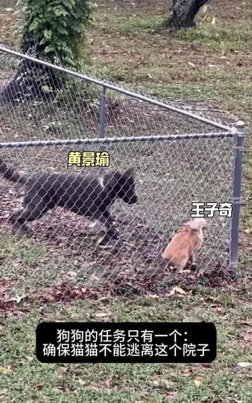 刷到这个俺不中了。。。 
