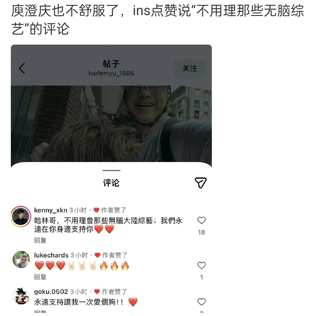 才看到是无脑的大陆综艺，既然不舒服，以后还是不要来大陆综艺挣钱了