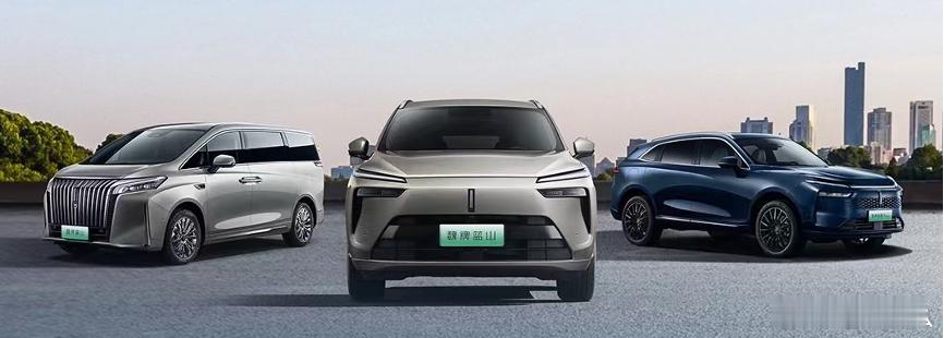 【魏牌新能源“憋”了个大的？全系升级大版本OTA】“软件定义汽车”喊了这么多年，