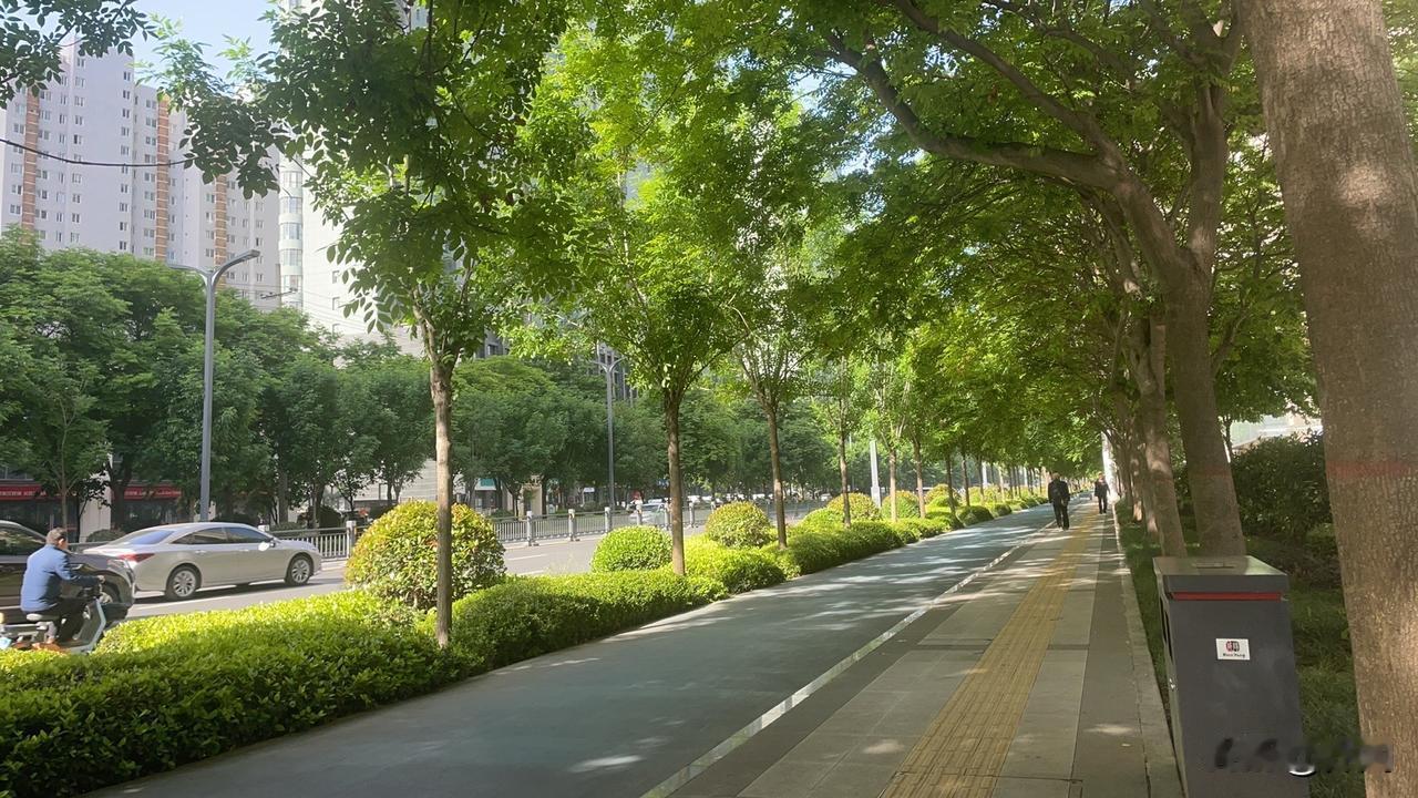 【七绝•槐柳成阴鸟筑巢】
槐柳成阴鸟筑巢，高飞燕子好逍遥。
闲来古渡寻花意，惟见
