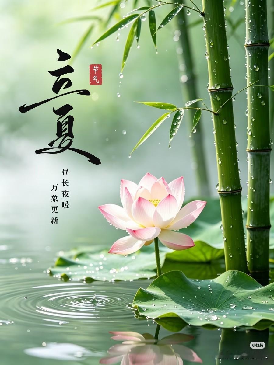 夏天来了！
昼长夜暖，万物复苏。