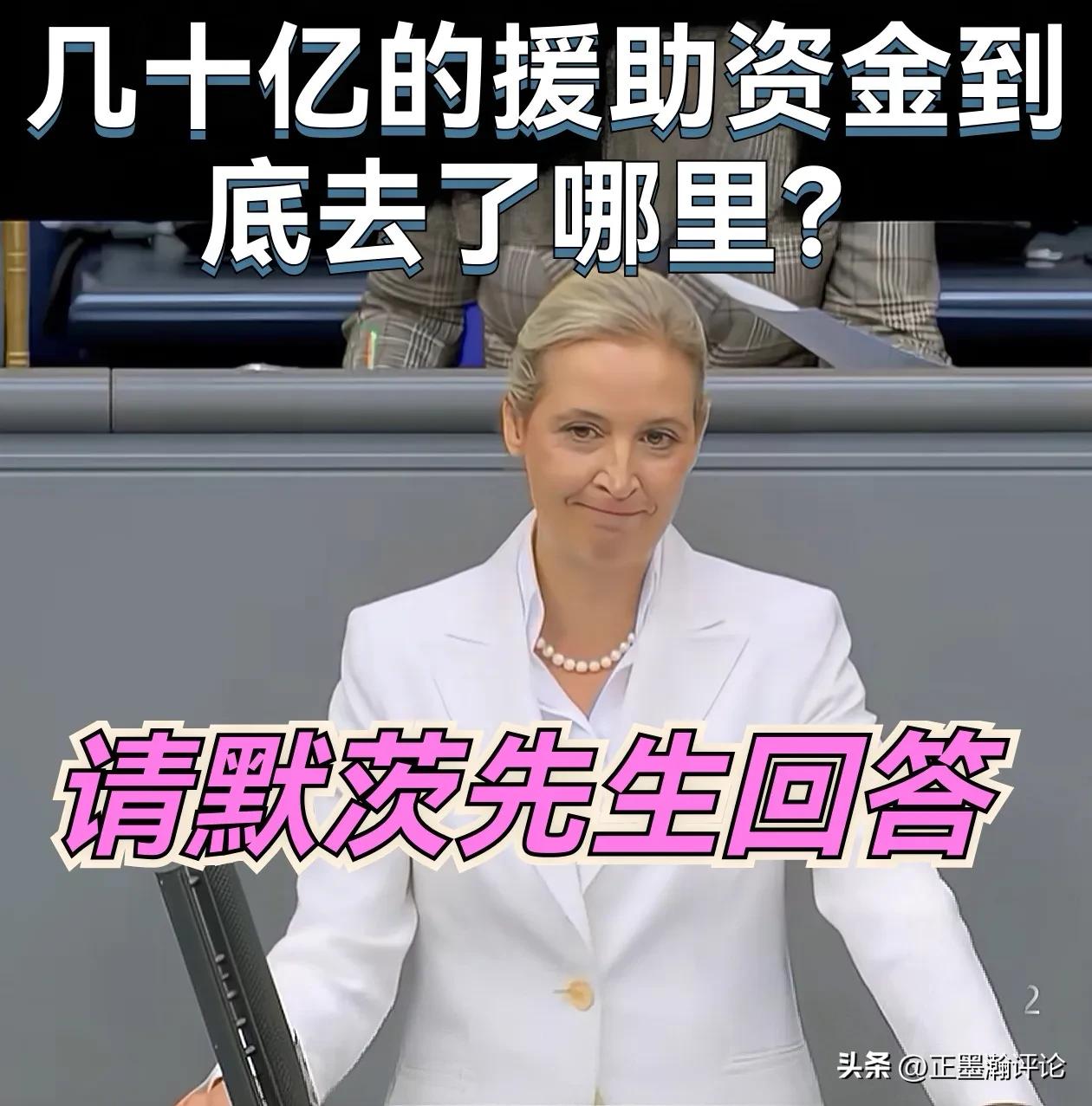 德国议会吵翻了，泽连斯基被外界猜测为嫌疑人

选择党领袖魏德尔当众发难：源源不断