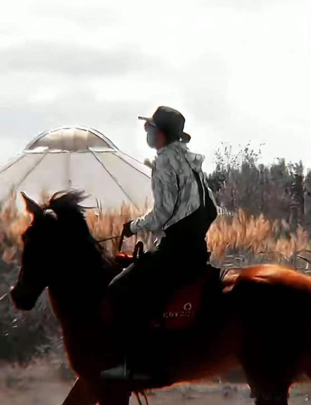 孙艺洲帮知世郎辟谣 谁还敢说知世郎不会骑马？孙艺洲亲自上阵辟谣，骑马瞬间活力四射