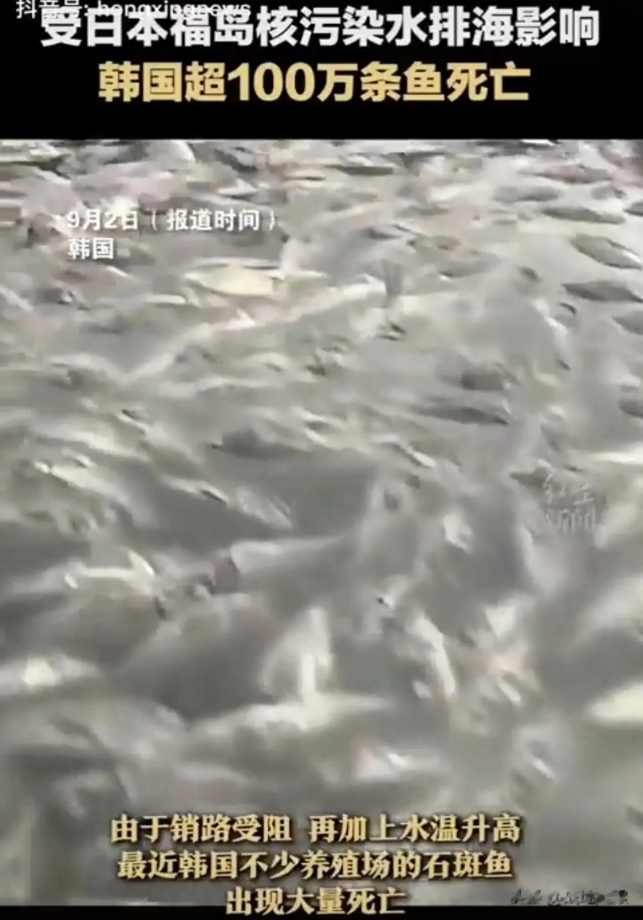 受到来自日本福岛核污水的影响，韩国全罗南道骊州市有100万条鱼死亡，农民的直接经
