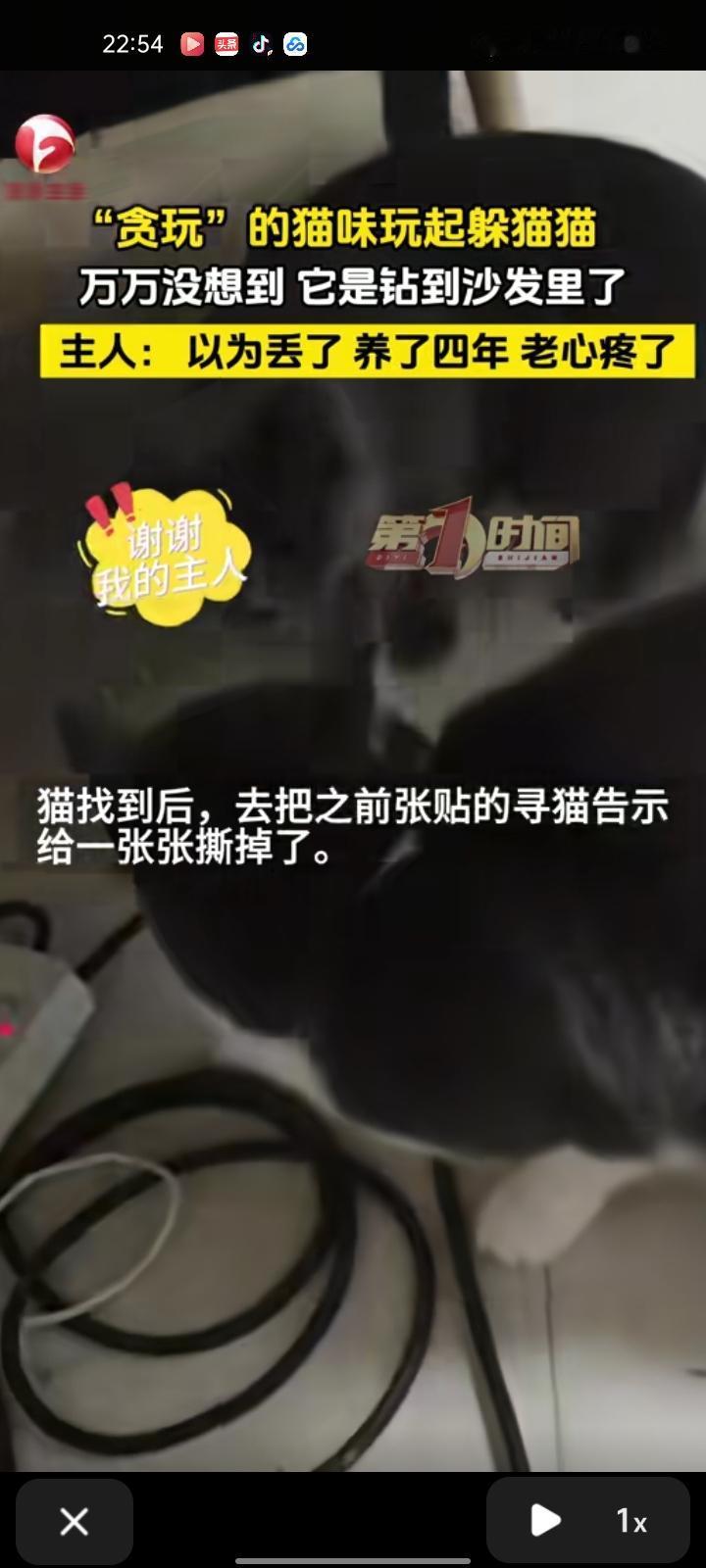 2月3日，陕西西安。“贪玩”的猫玩起躲猫猫，主人寻找时发现它钻到沙发里，指甲都露