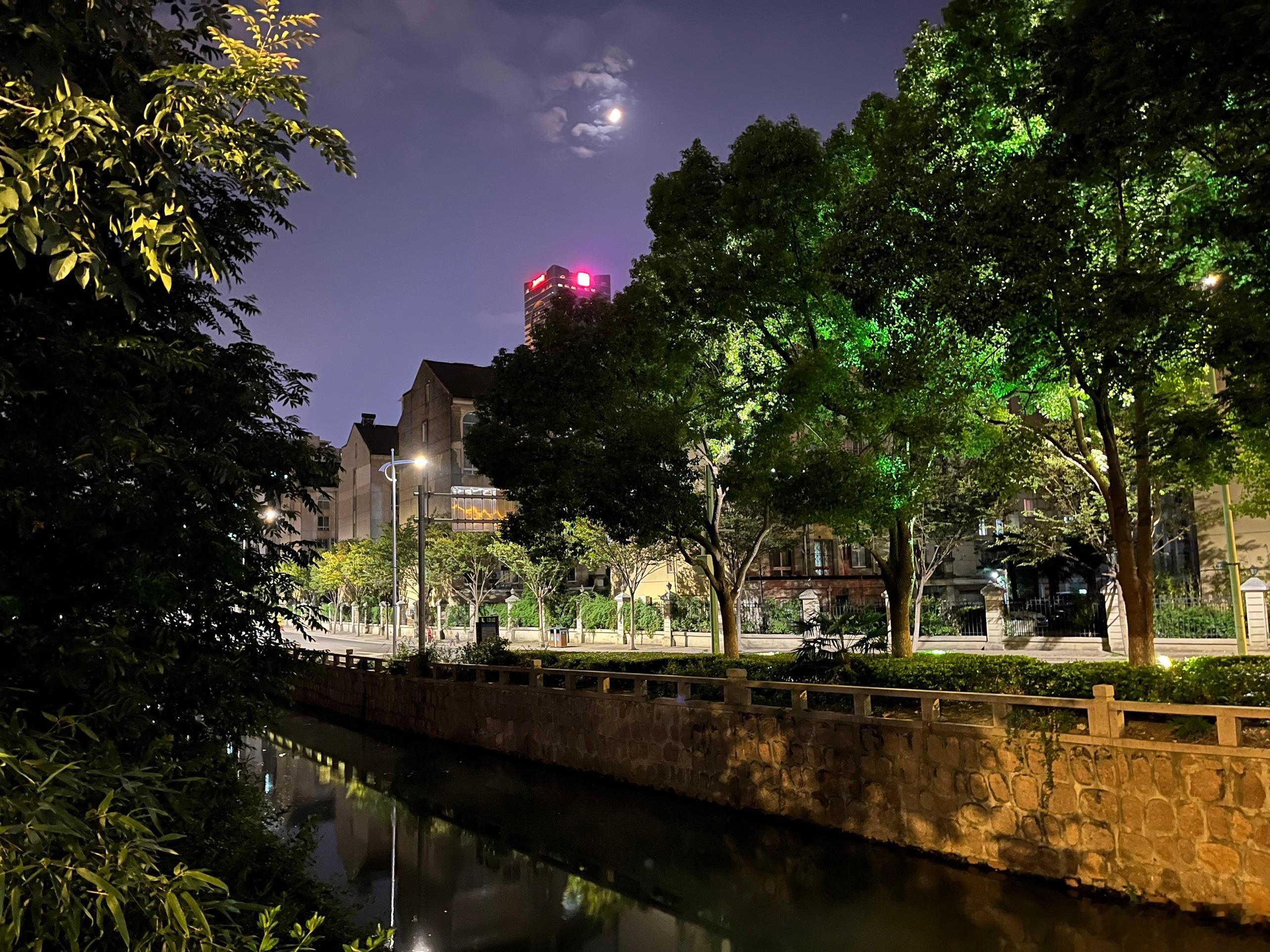晚风揽月，夜色安然🌳 ​​​