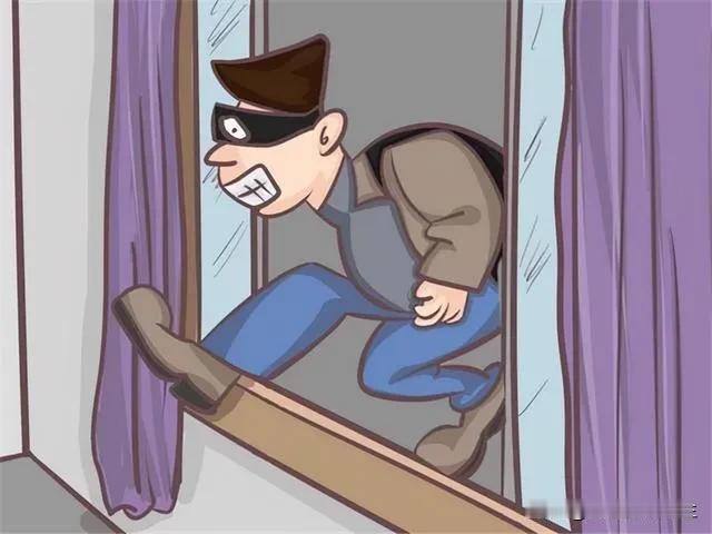 我感觉不应该赔偿，一分钱都不该赔——小偷摔下去是咎由自取！

小偷的父母也挺搞笑