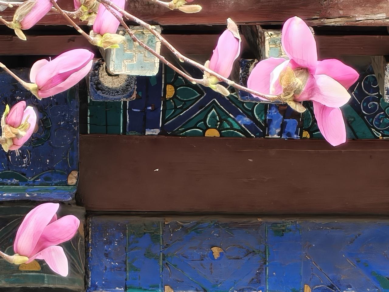 亭亭玉立枝条间
      满满锦绣香溢远
      阵阵春风拂面至
    