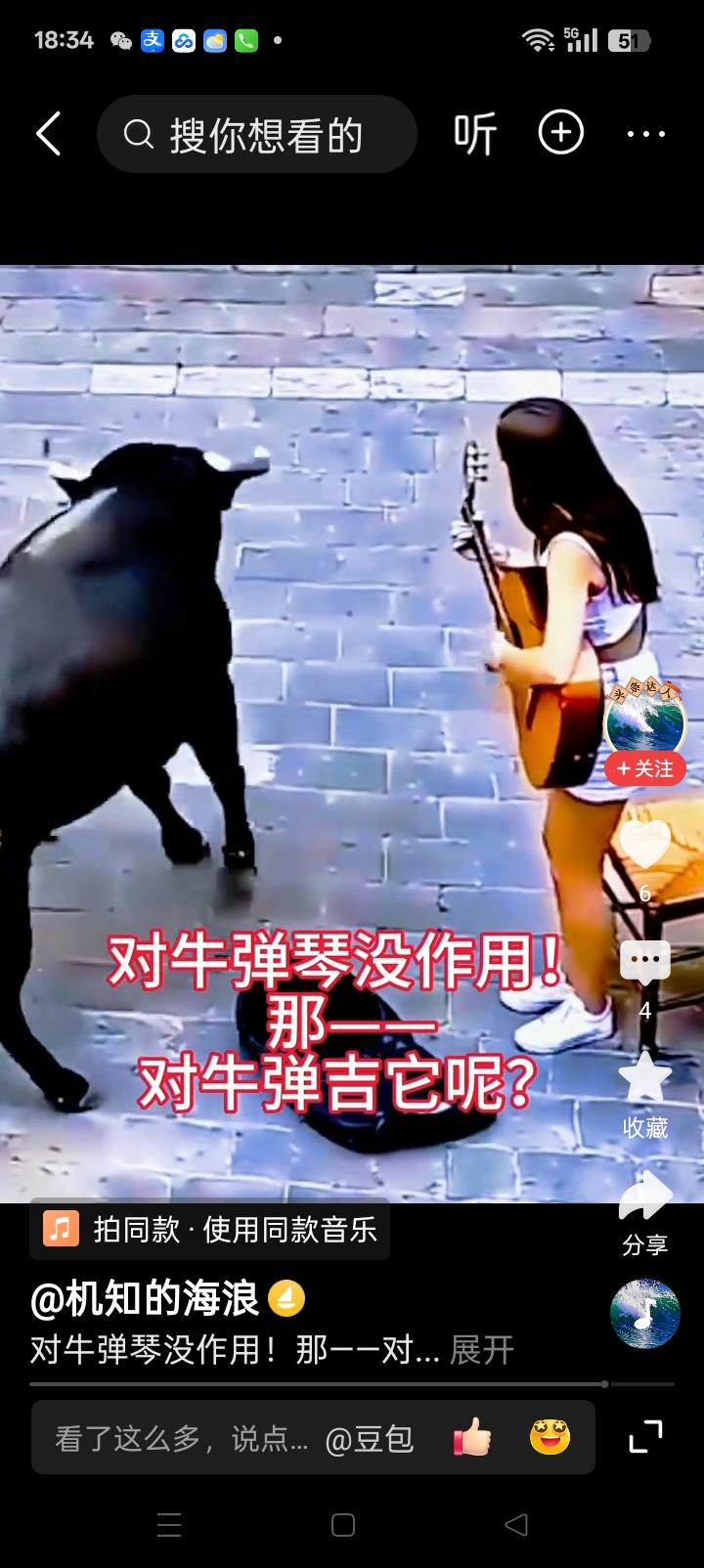 谁说对牛弹琴，白费劲，看：这头牛听懂了吉它节奏，随着音乐节奏摇头摆尾转圈子，跳起
