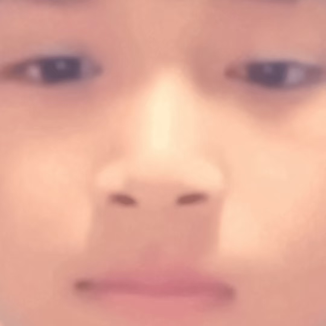 可以看到这是一只🐽 