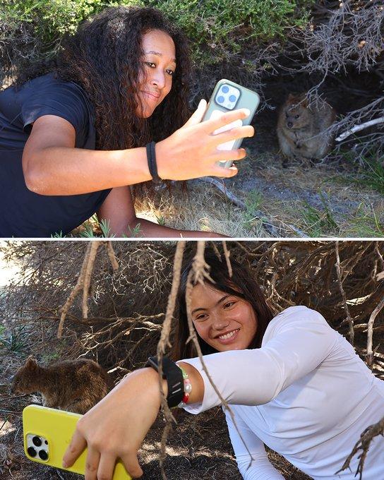 拉杜卡奴和大坂直美在澳洲，
慕名抽空去找树袋熊合影。
这是当地独有的小动物。
