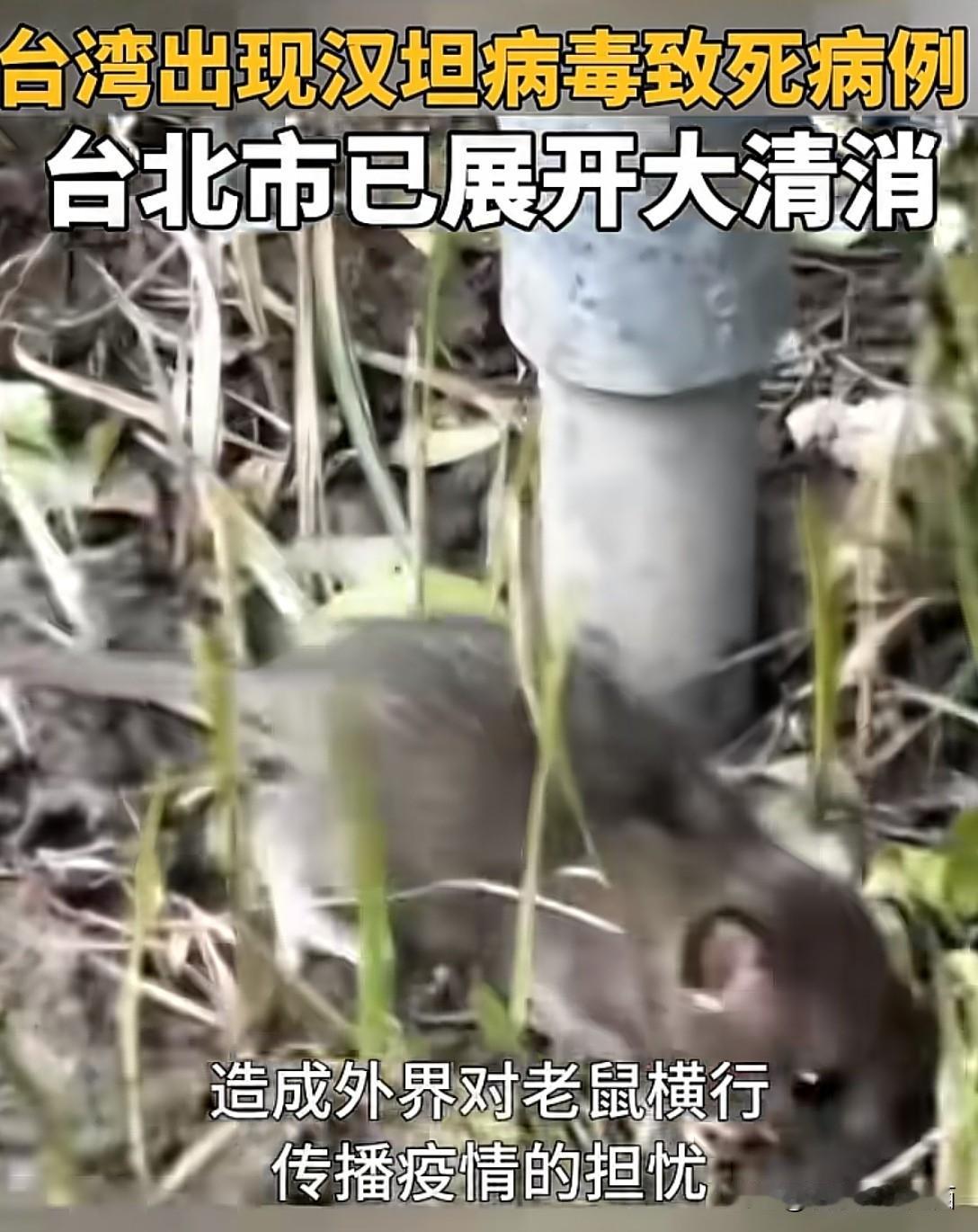 病毒其实并不可怕！可怕的是“台独”的毒瘤。早日回归祖国的怀抱！作为“药都”之城的