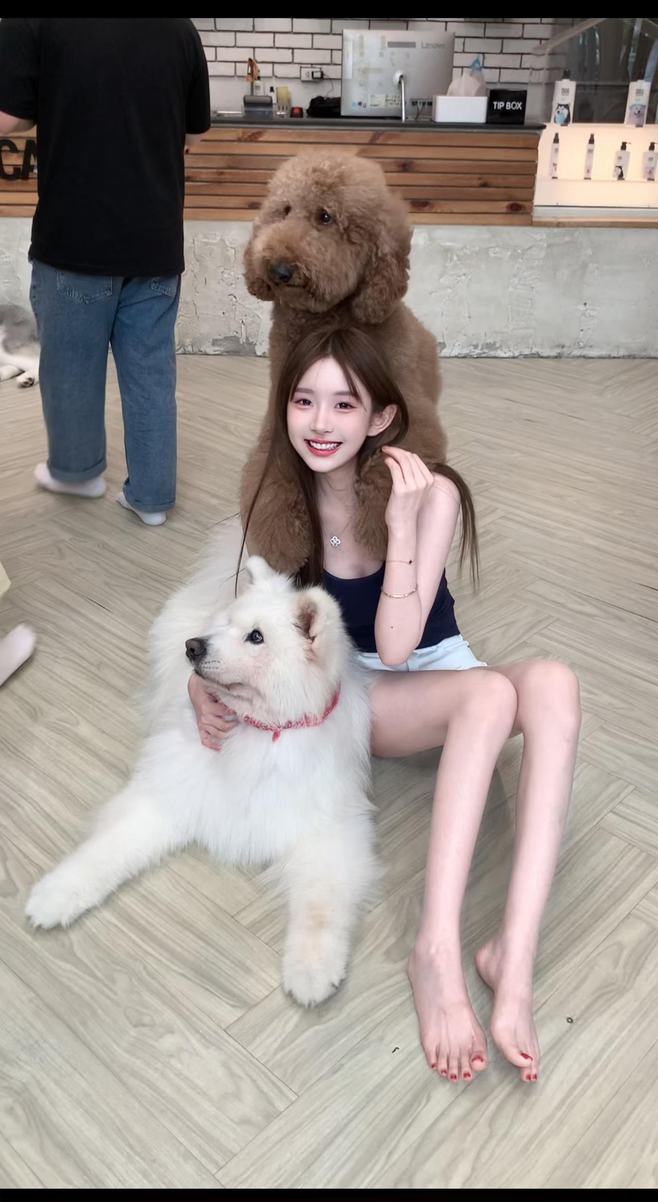 我家的宠物狗