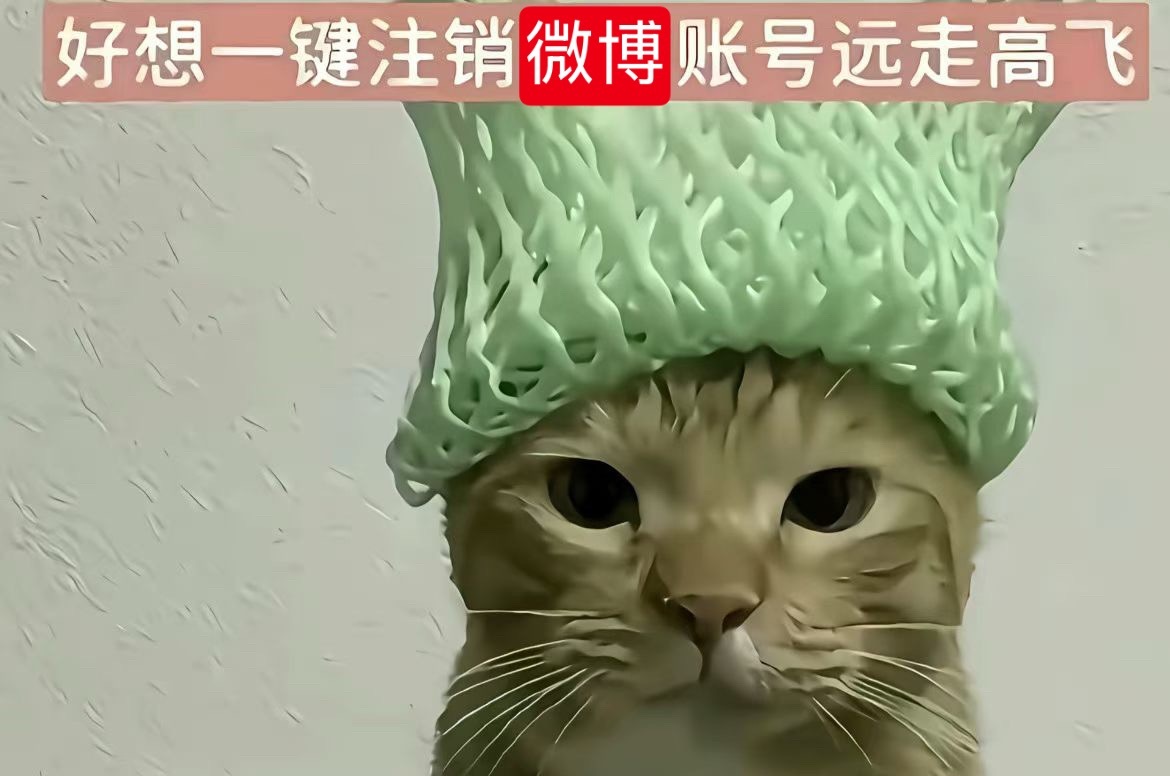 分享图片 